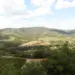 Antinori nel Chianti