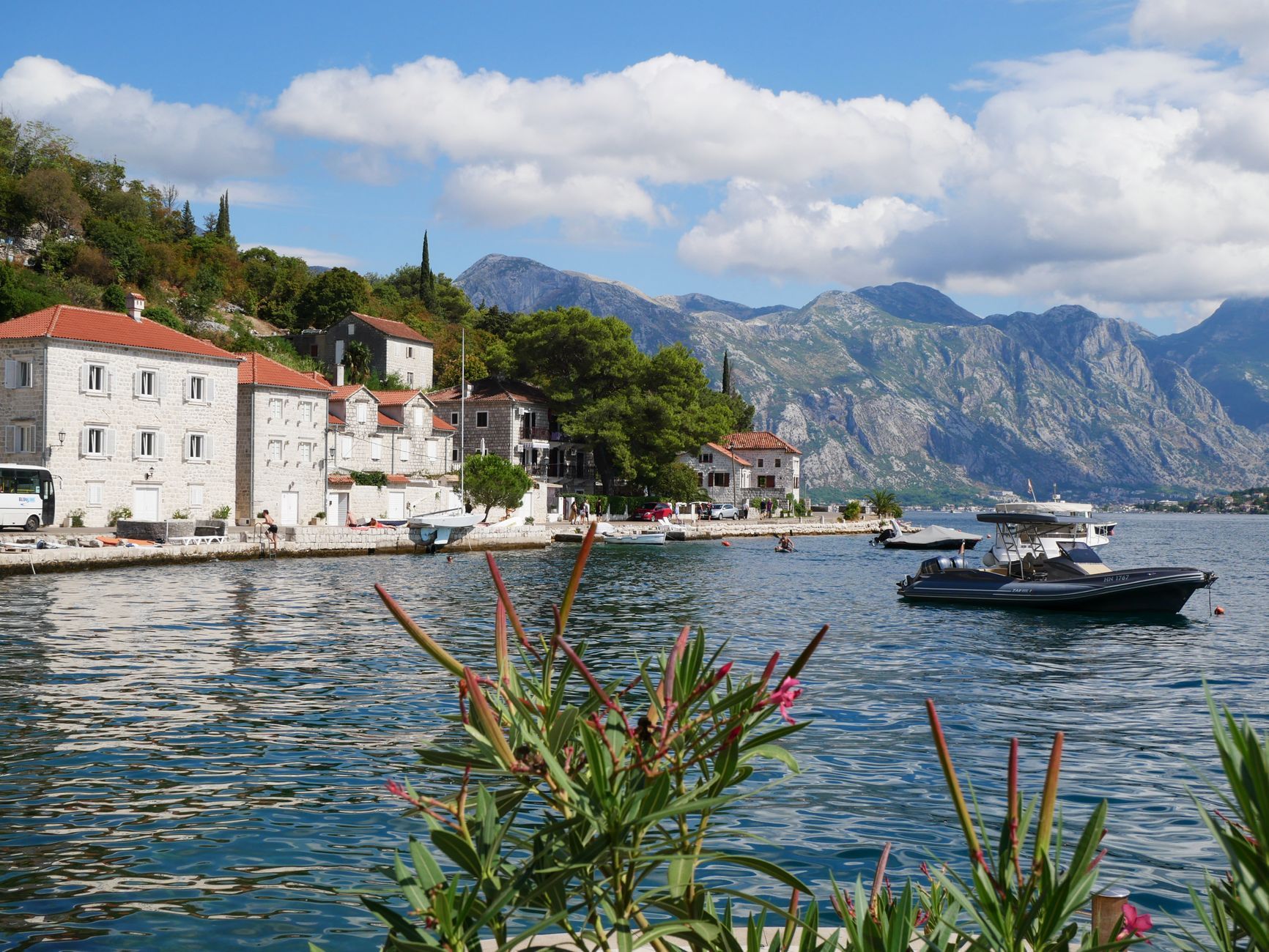 Galion Kotor Adriatic Seafood