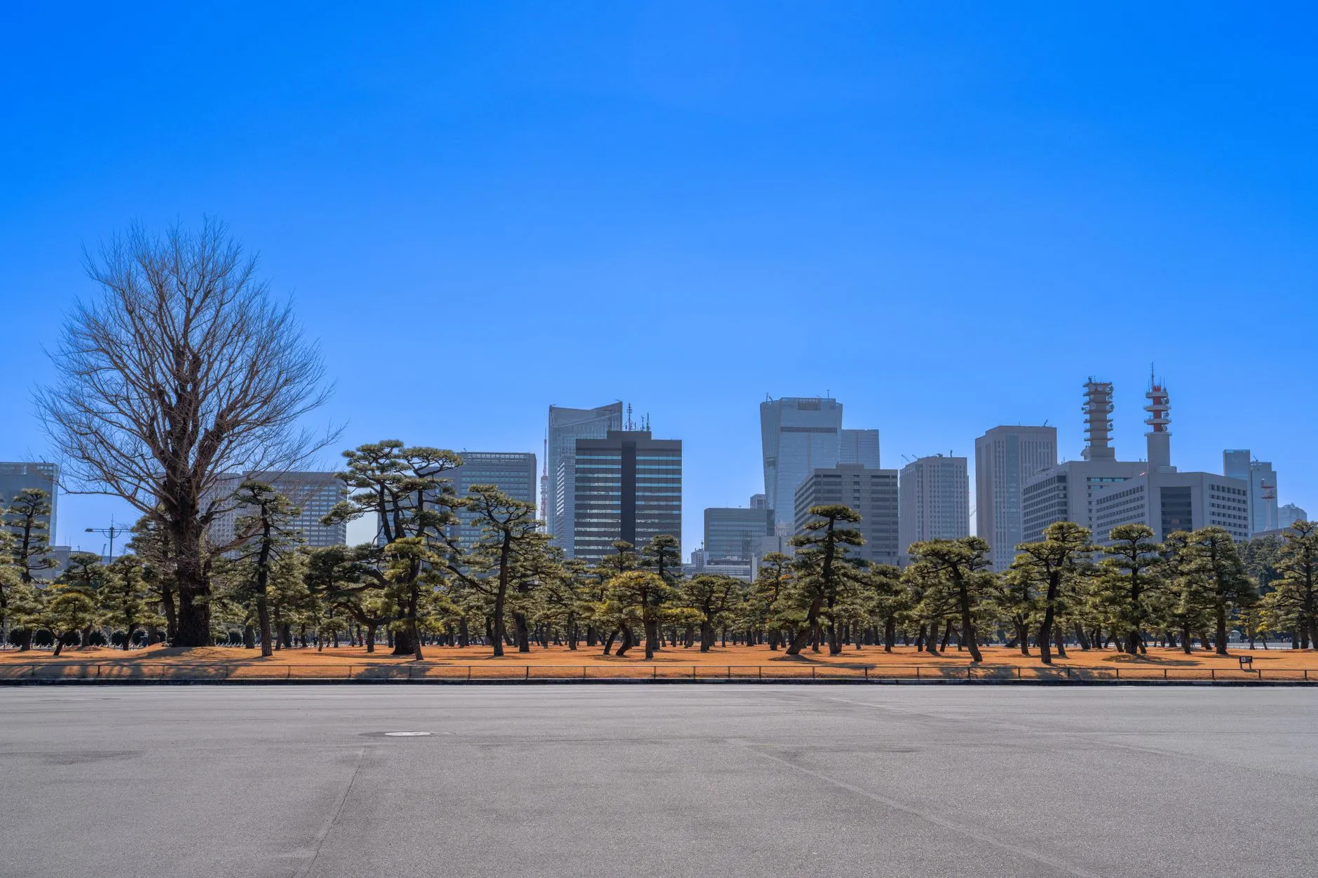 Imperial Hotel Tokyo Japanese-French