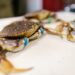 Joe's Stone Crab