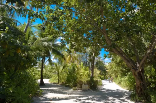 Soneva Fushi