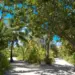 Soneva Fushi
