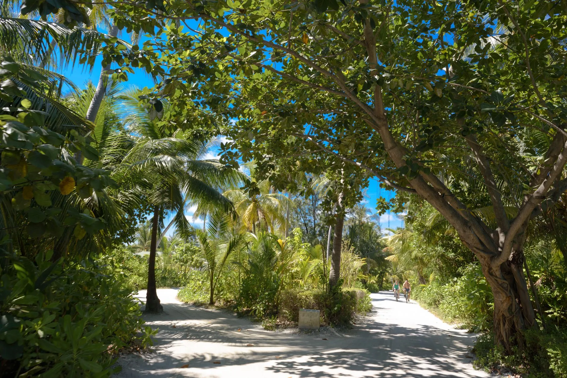 Soneva Fushi Baa Atoll Modern European