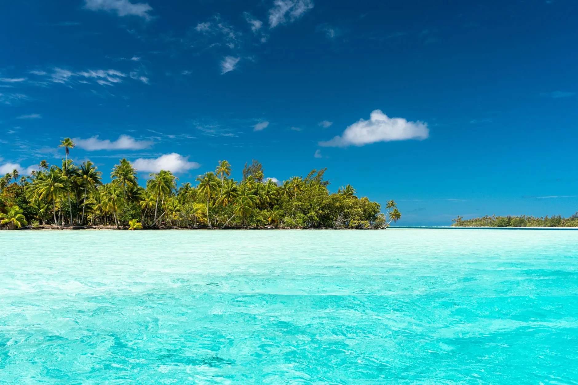 St Regis Lagoon signature